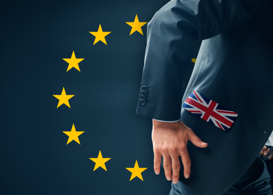How your business can adapt and ultimately blossom post-Brexit
